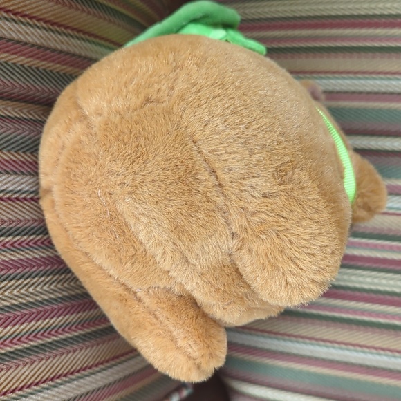 Stuffed Capybara - Picture 6 of 6